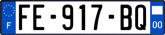FE-917-BQ