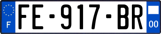 FE-917-BR