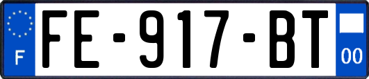 FE-917-BT