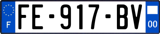 FE-917-BV