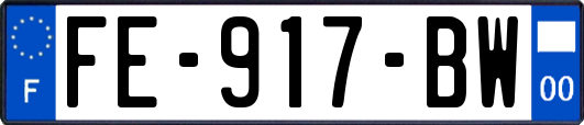 FE-917-BW