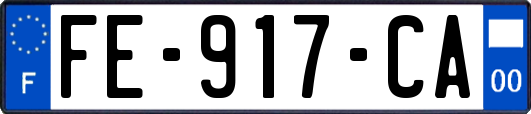 FE-917-CA