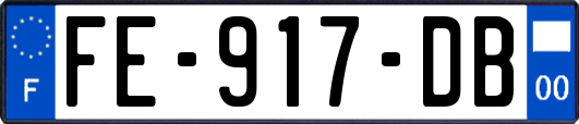 FE-917-DB