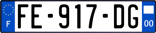 FE-917-DG