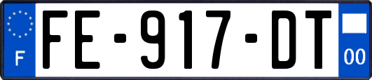 FE-917-DT