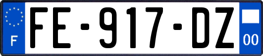 FE-917-DZ