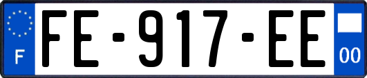 FE-917-EE