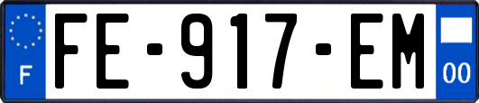 FE-917-EM