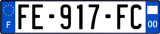 FE-917-FC