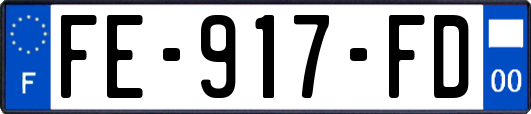FE-917-FD
