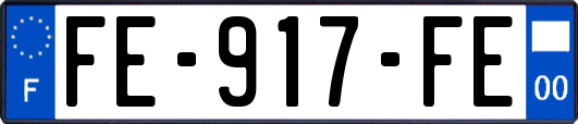 FE-917-FE