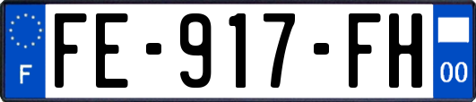 FE-917-FH
