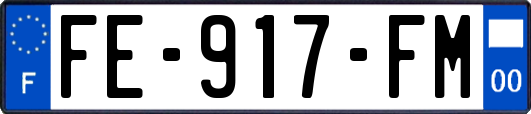 FE-917-FM