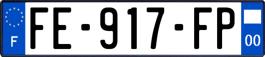 FE-917-FP