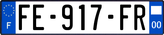 FE-917-FR