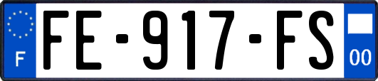 FE-917-FS