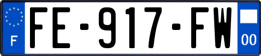 FE-917-FW