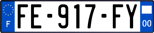 FE-917-FY