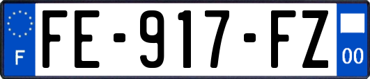 FE-917-FZ