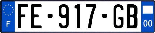 FE-917-GB