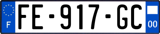 FE-917-GC