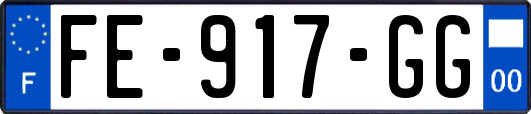 FE-917-GG