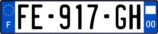 FE-917-GH
