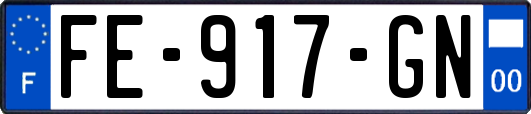 FE-917-GN