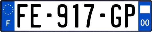 FE-917-GP