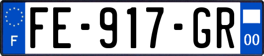 FE-917-GR