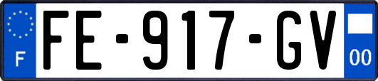 FE-917-GV