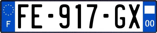 FE-917-GX