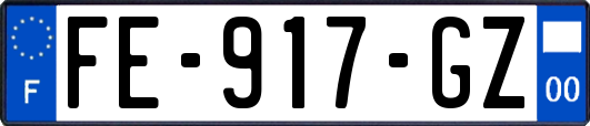 FE-917-GZ