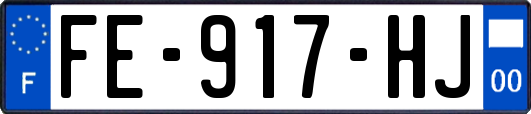 FE-917-HJ