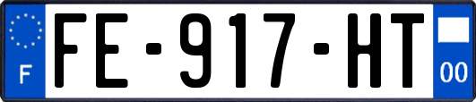 FE-917-HT