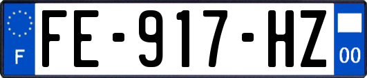 FE-917-HZ