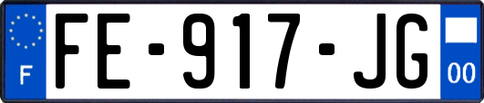 FE-917-JG