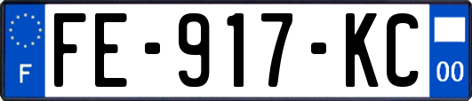FE-917-KC
