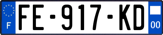 FE-917-KD