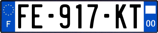 FE-917-KT
