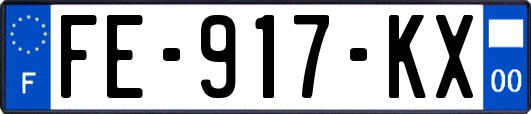 FE-917-KX