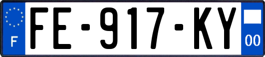 FE-917-KY