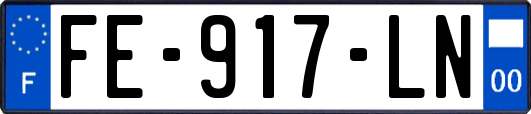 FE-917-LN