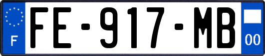 FE-917-MB