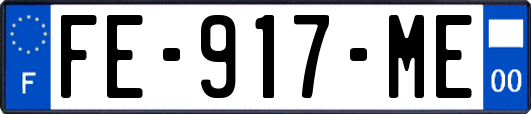 FE-917-ME