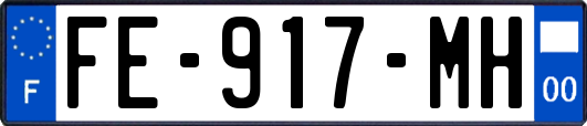 FE-917-MH