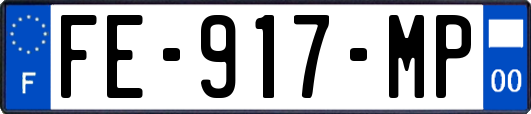 FE-917-MP