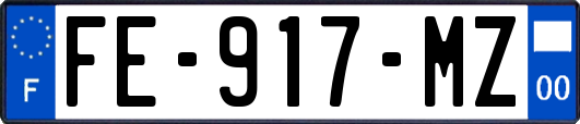 FE-917-MZ