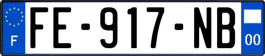 FE-917-NB