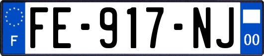 FE-917-NJ